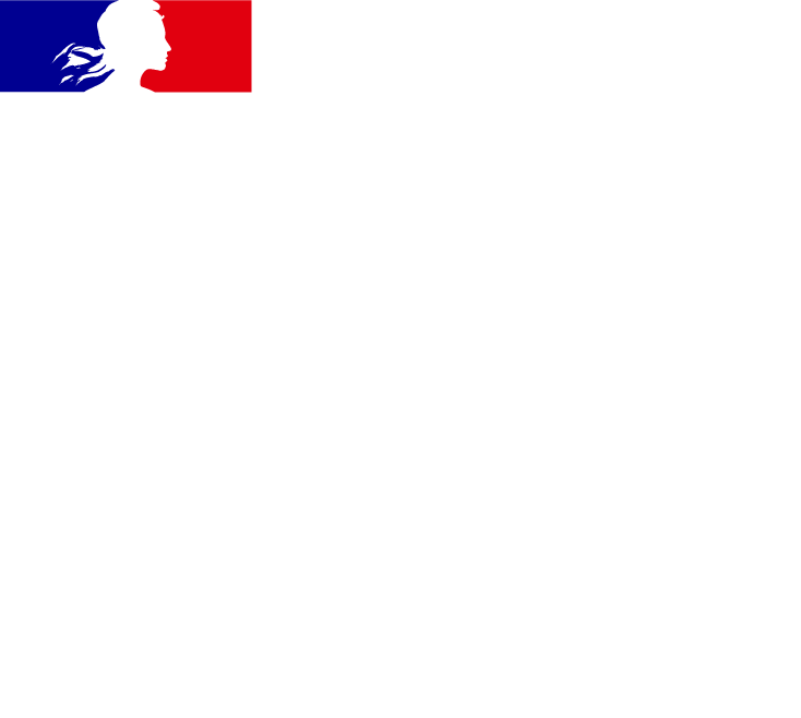 Ministère de l'Europe et des Affaires Etrangères Ministère de l'Europe et des Affaires Etrangères