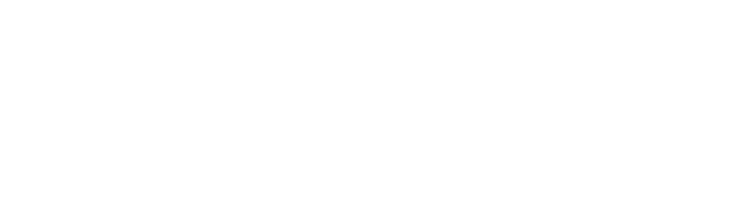logo blanc